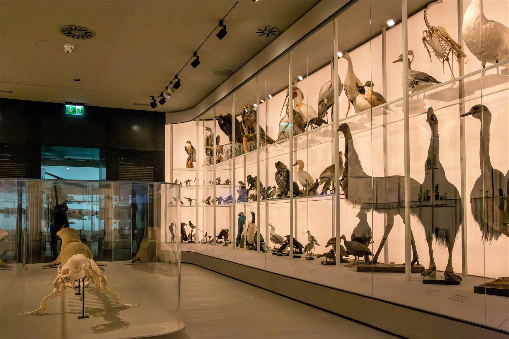 Visitor information