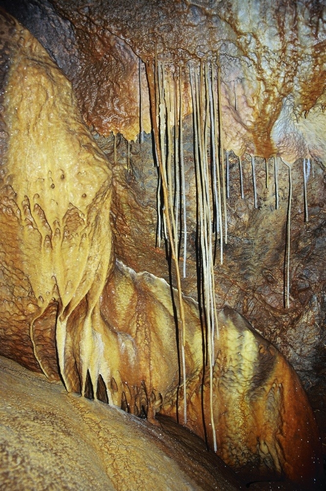 image-03-123